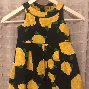 Janie and Jack Dress